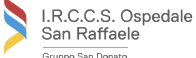 IRCCS Ospedale San Raffaele